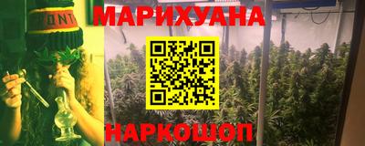 сатива Ставрополь