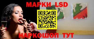 сатива Ставрополь
