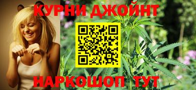 сатива Ставрополь