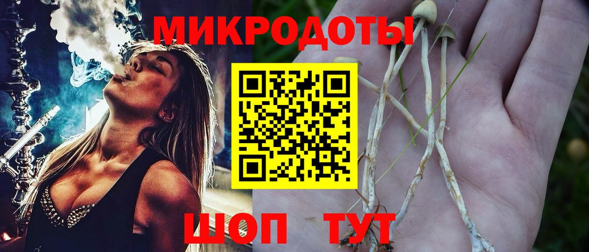 Псилоцибиновые грибы мухоморы  купить   Новочеркасск  Вход с VPN 